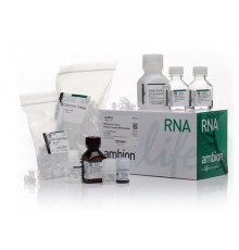 Набор RNAqueous-Micro Total RNA Isolation Kit, Thermo FS