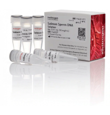 Раствор ДНК спермы лосося/Salmon Sperm DNA Solution, Thermo FS